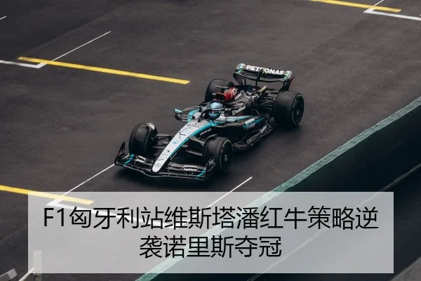 xiong-ya-li-zhan-wei-si-ta-pan-hong-niu-ce-lve-ni-xi-nuo-li-si-duo-guan-3-665.jpg