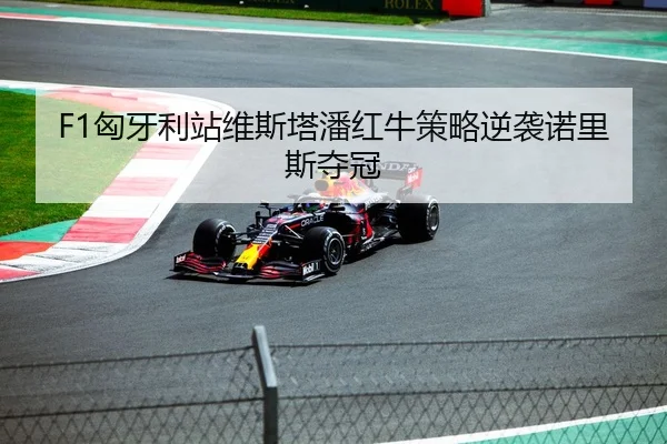 F1匈牙利站维斯塔潘红牛策略逆袭诺里斯夺冠