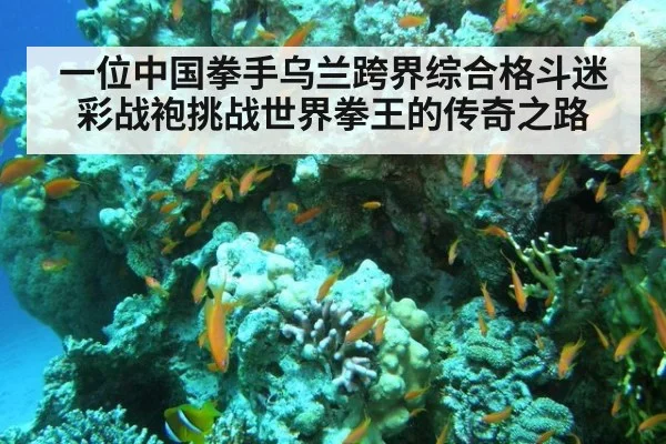 一位中国拳手乌兰跨界综合格斗迷彩战袍挑战世界拳王的传奇之路